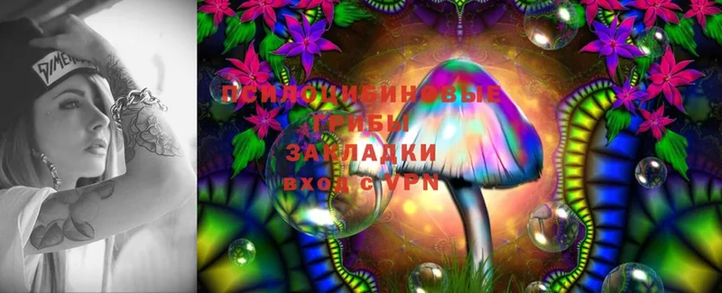 Псилоцибиновые грибы MAGIC MUSHROOMS  Нальчик 